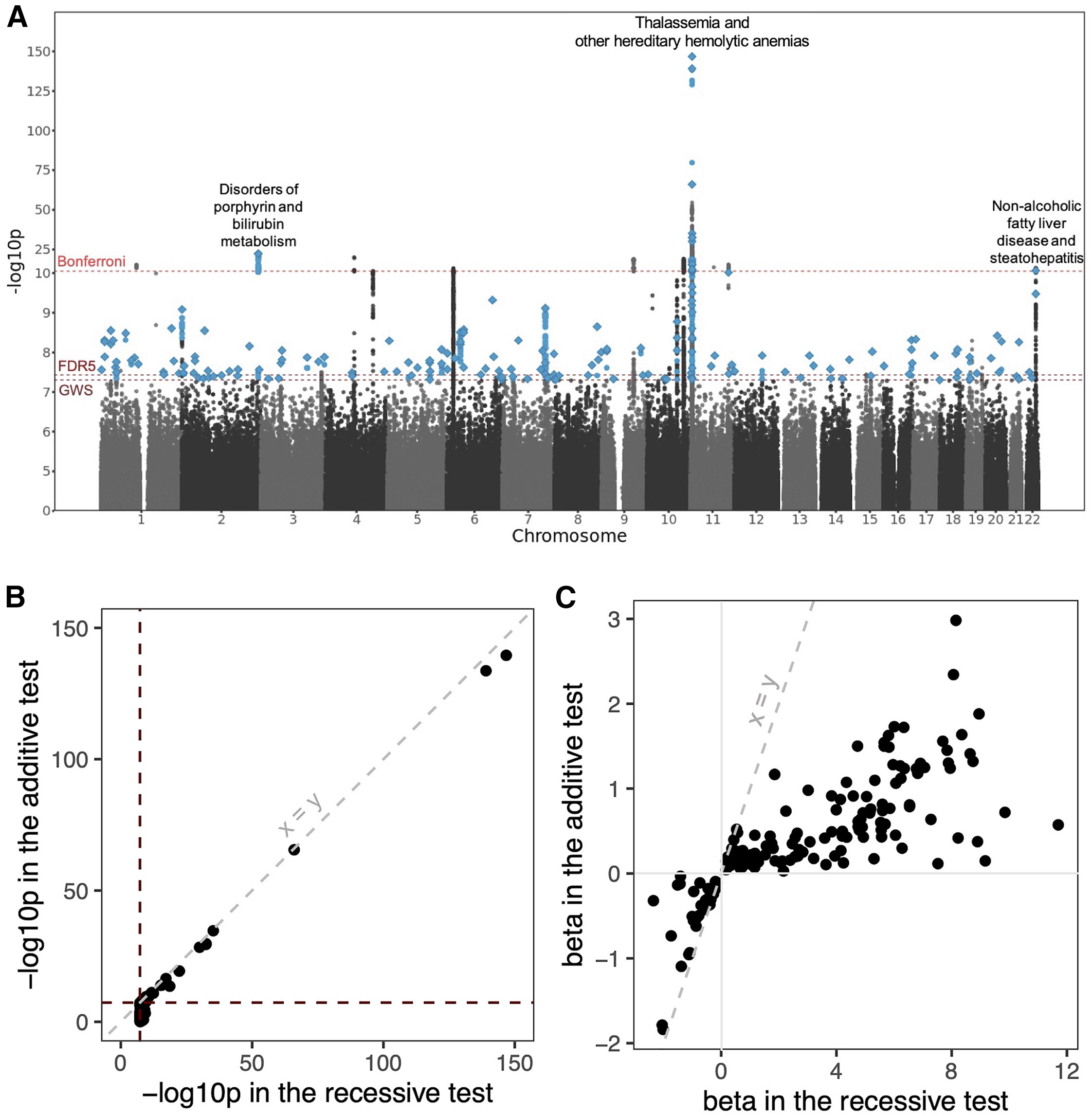 Heng et al. 2025, Am J Hum Genet - Figure 1A