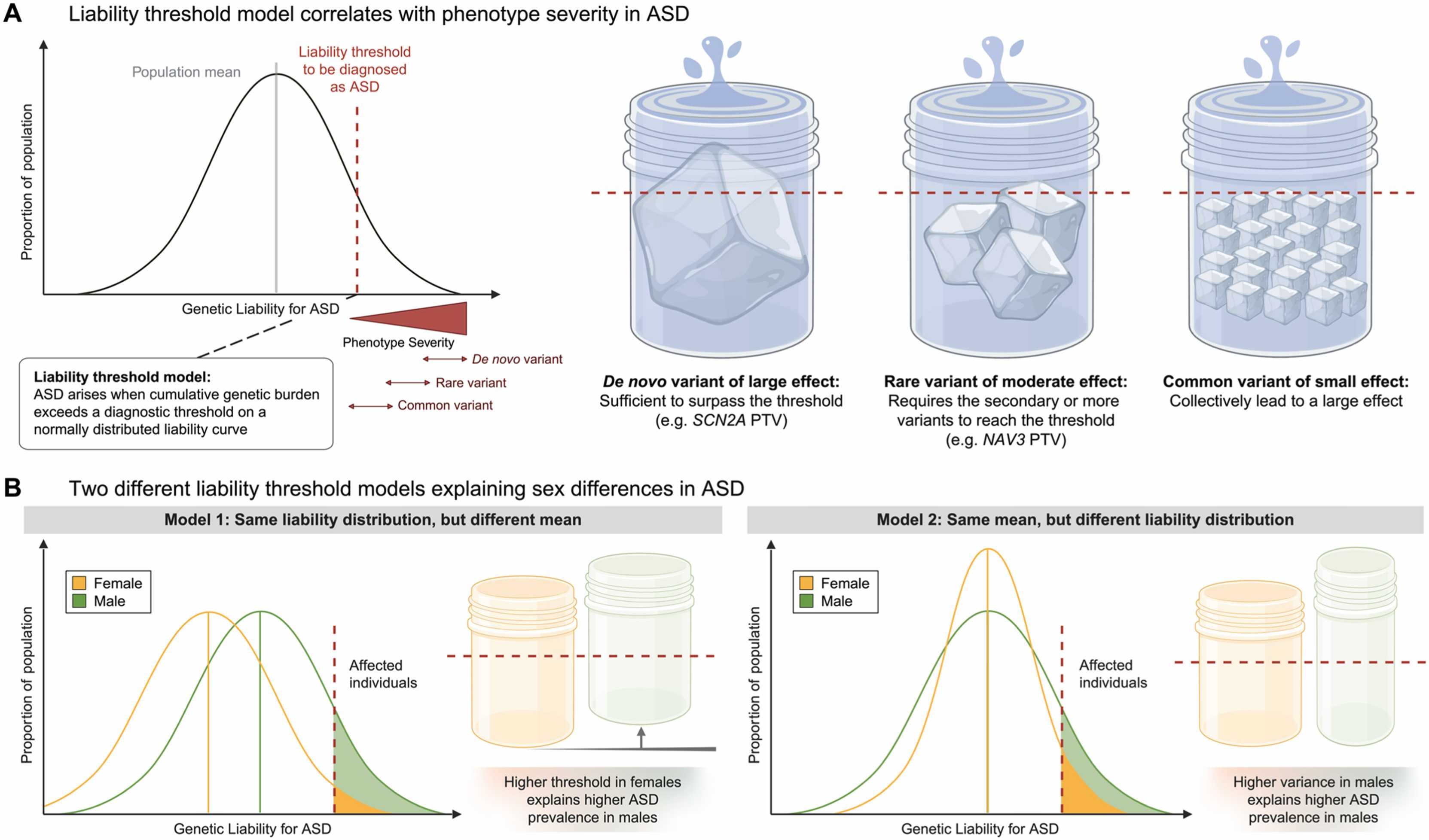 Kim2025-MolCells-Fig3