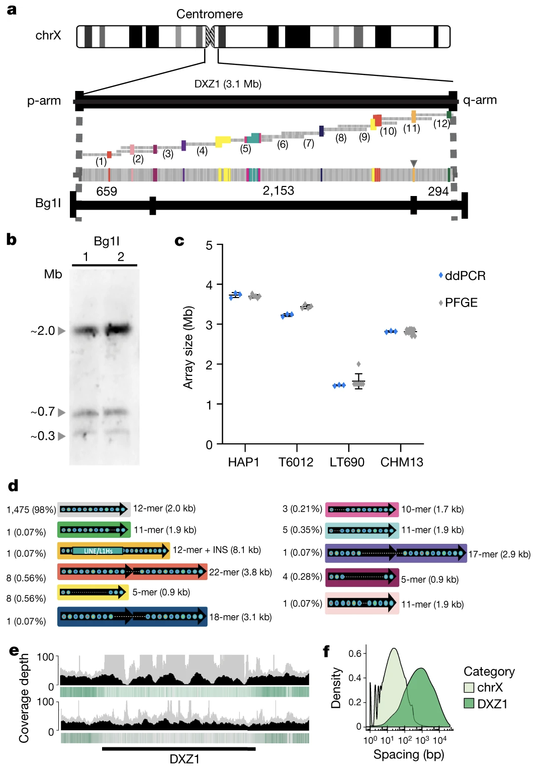 Miga et al. 2020, Nature - Figure 2