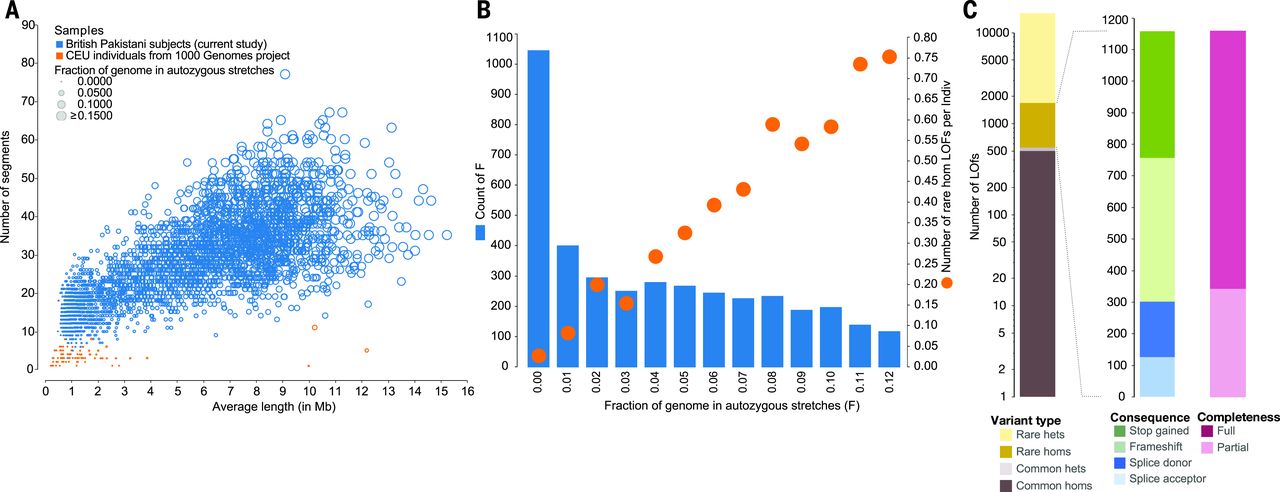 Narasimhan et al. 2016, Science - Figure 1