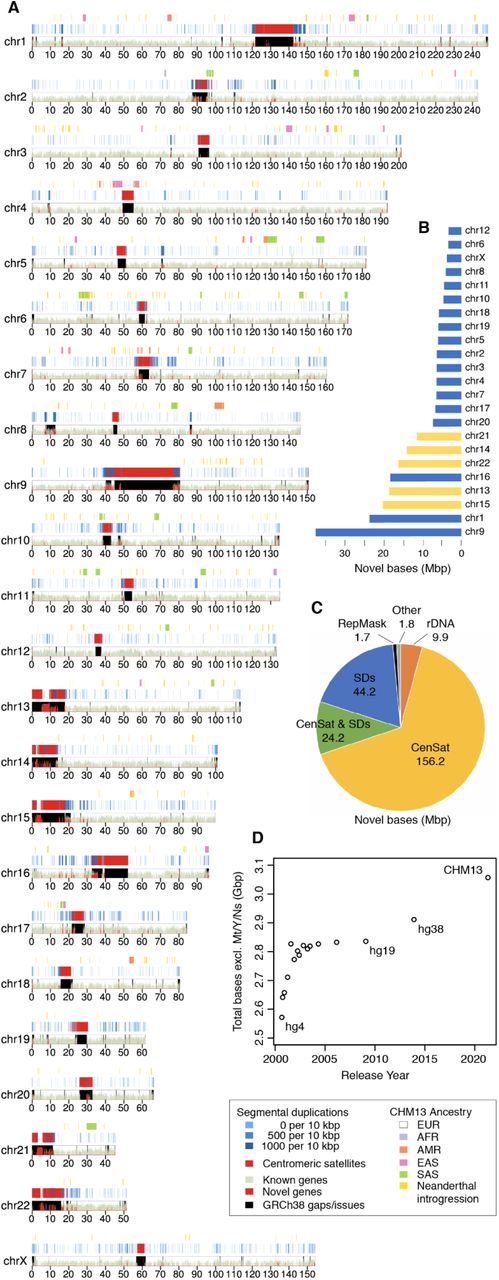 Nurk et al. 2021, bioRxiv - Figure 1