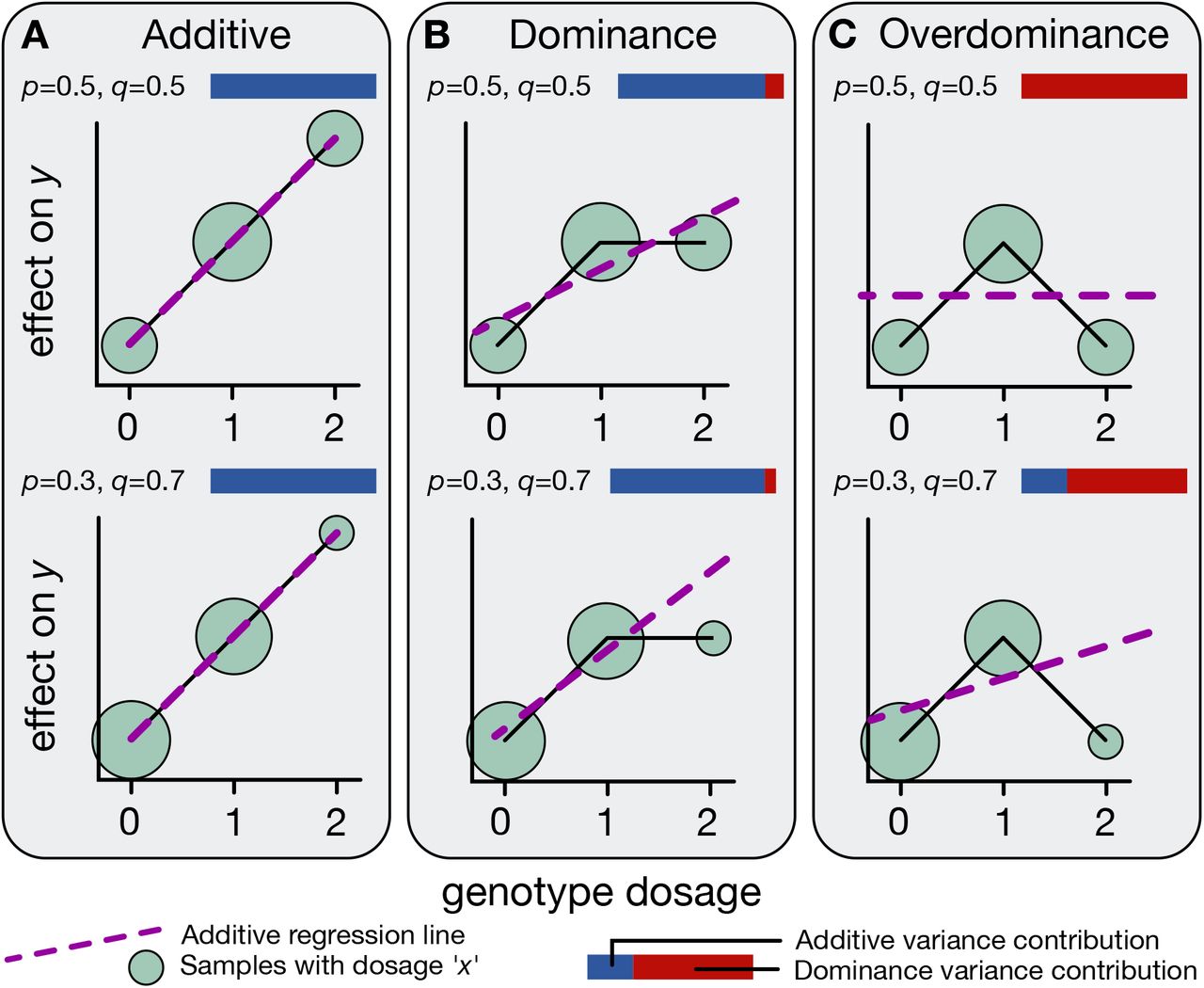 Palmer2021-bioRxiv-Fig1