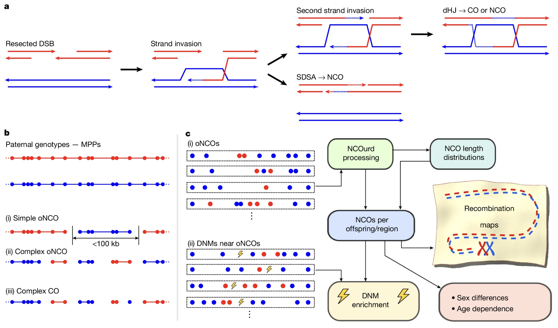 Palsson et al. 2025, Nature - Figure 1
