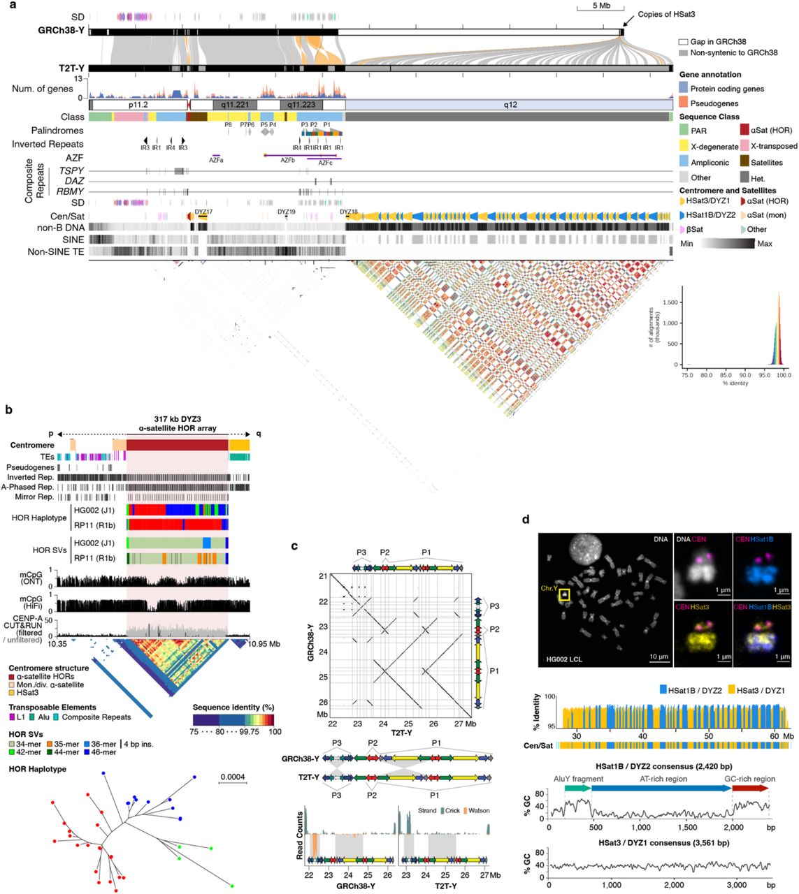 Rhie et al. 2022, bioRxiv - Figure 1a
