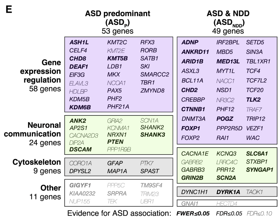 Satterstrom2020-Cell-Fig4