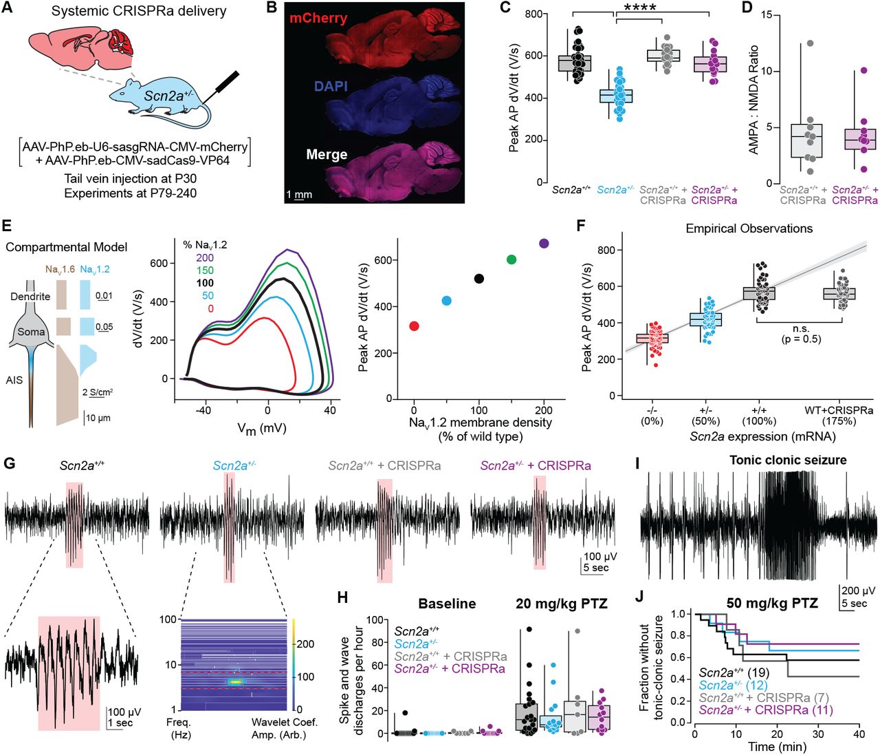 Tamura et al. 2022 bioRxiv - Figure 3