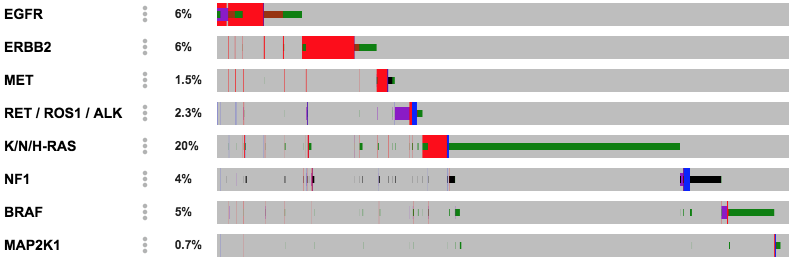 Oncoprint