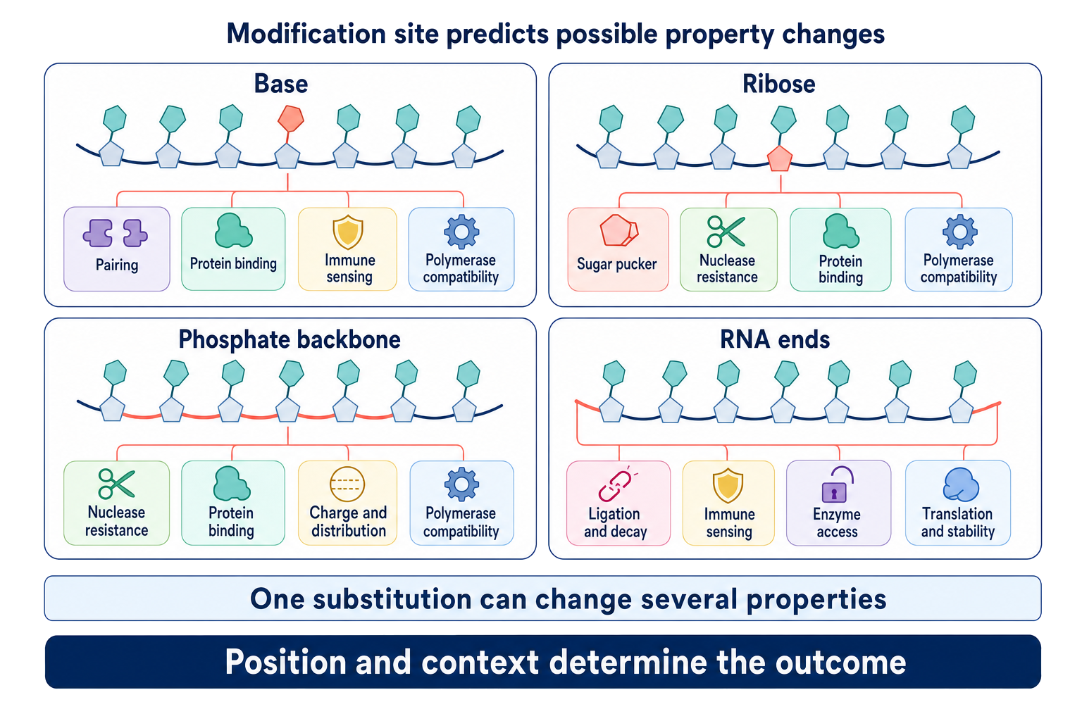 Figure 2.4. Chemical Substitution Sites and the RNA Properties They Change