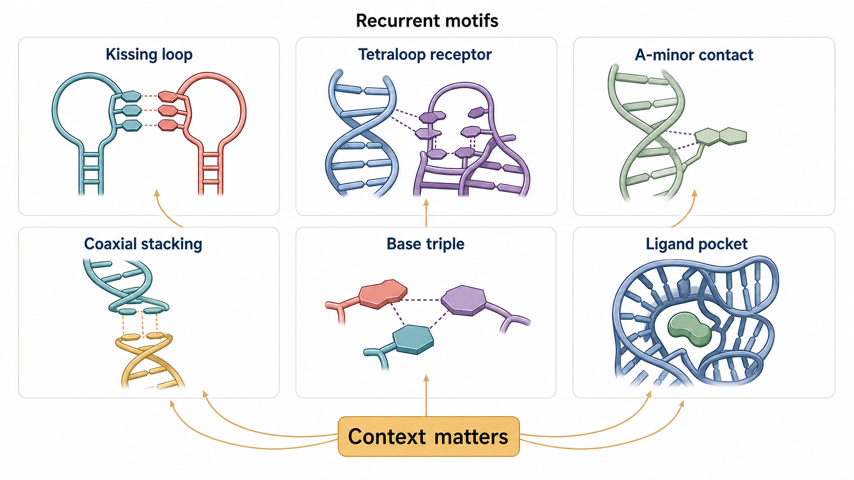 Figure 4.2. Recurrent Tertiary Motifs and Long-Range Contacts