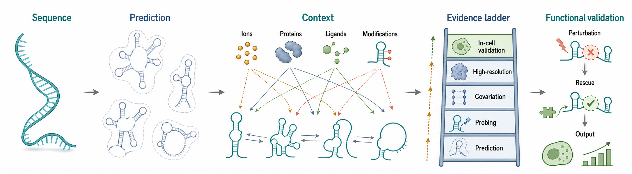 Figure 4.3. Sequence, Context, and Structure-Function Evidence