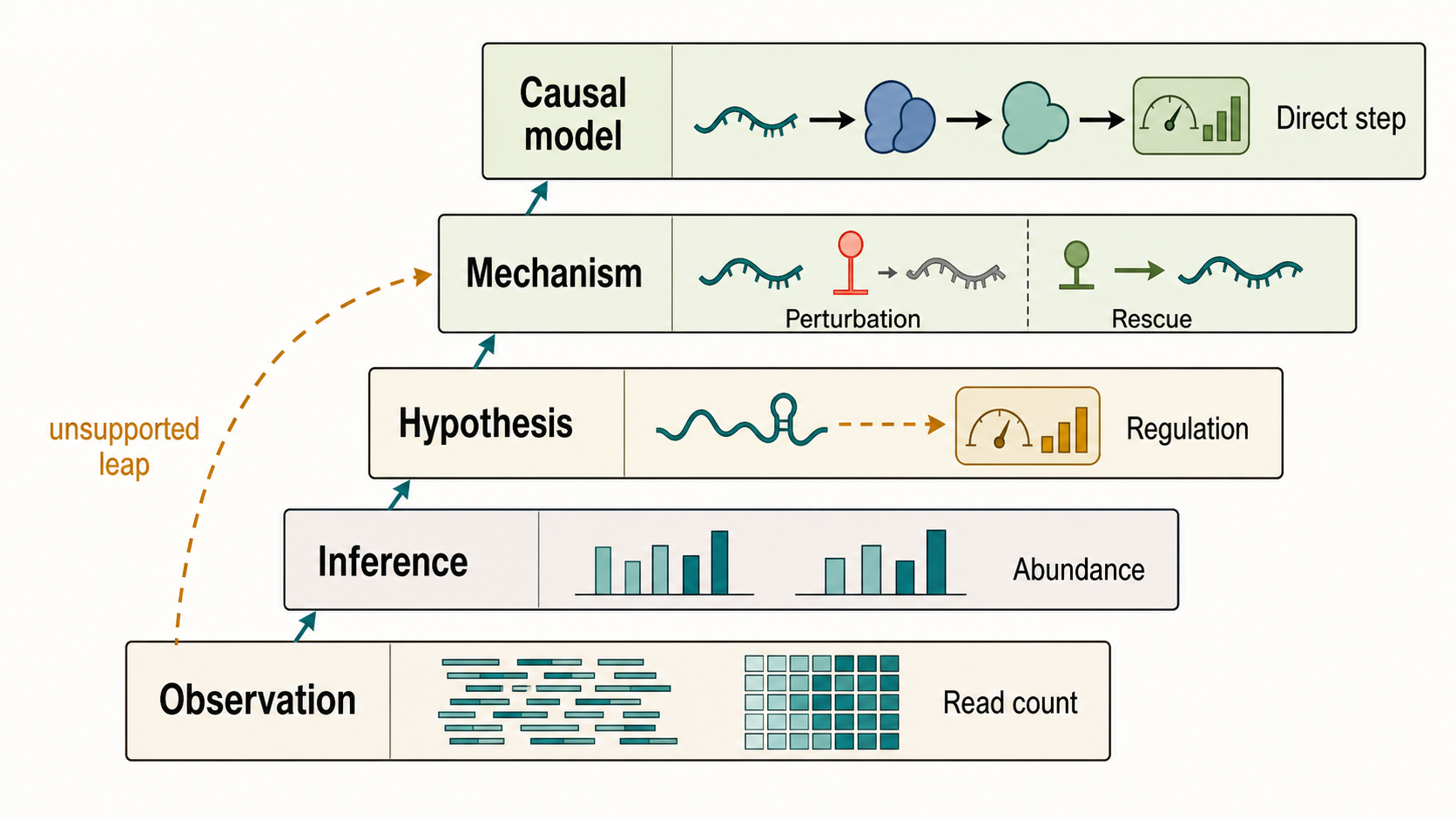 Figure 5.1. Claim-Type Ladder for RNA Biology