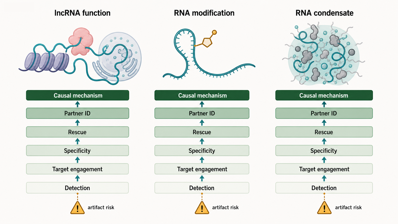 Figure 5.4. Evidence Ladders for Three Difficult RNA Claim Classes
