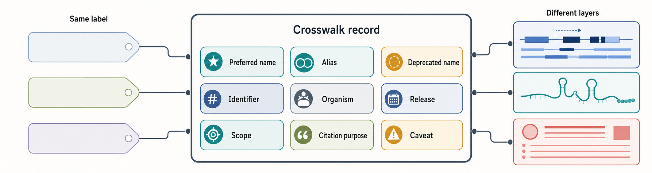 Figure 6.2. Name, Identifier, Alias, and Version Crosswalk