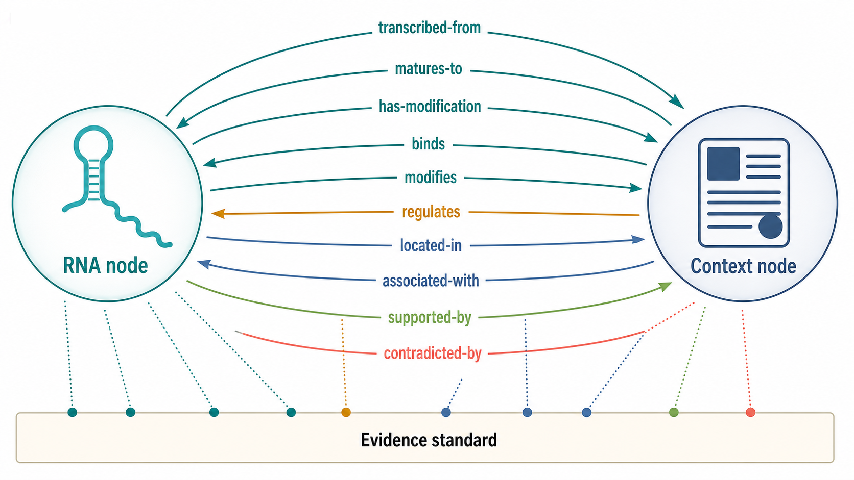 Figure 6.3. Ontology Relationship Types in RNA Biology