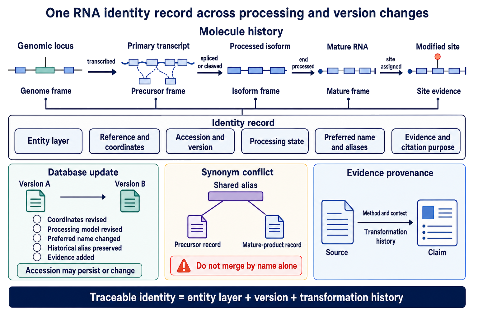 Figure 6.6. One RNA Identity Record Across Processing and Version Changes