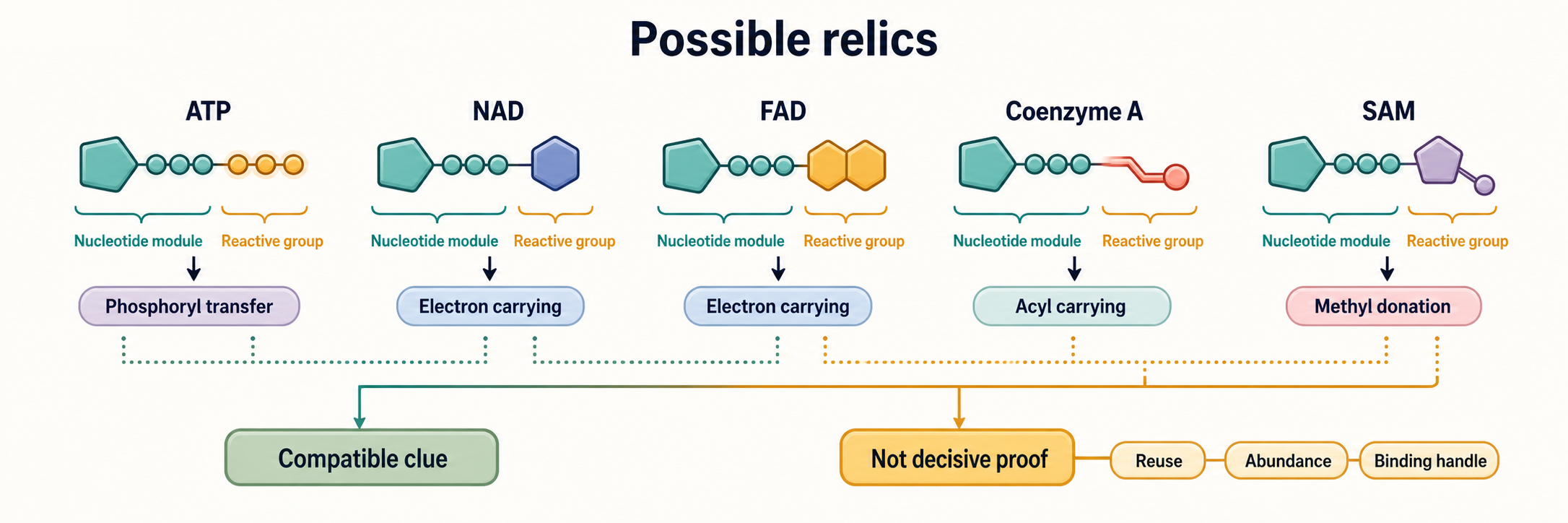 Figure 8.3. Ribonucleotide Cofactors as Possible Relics
