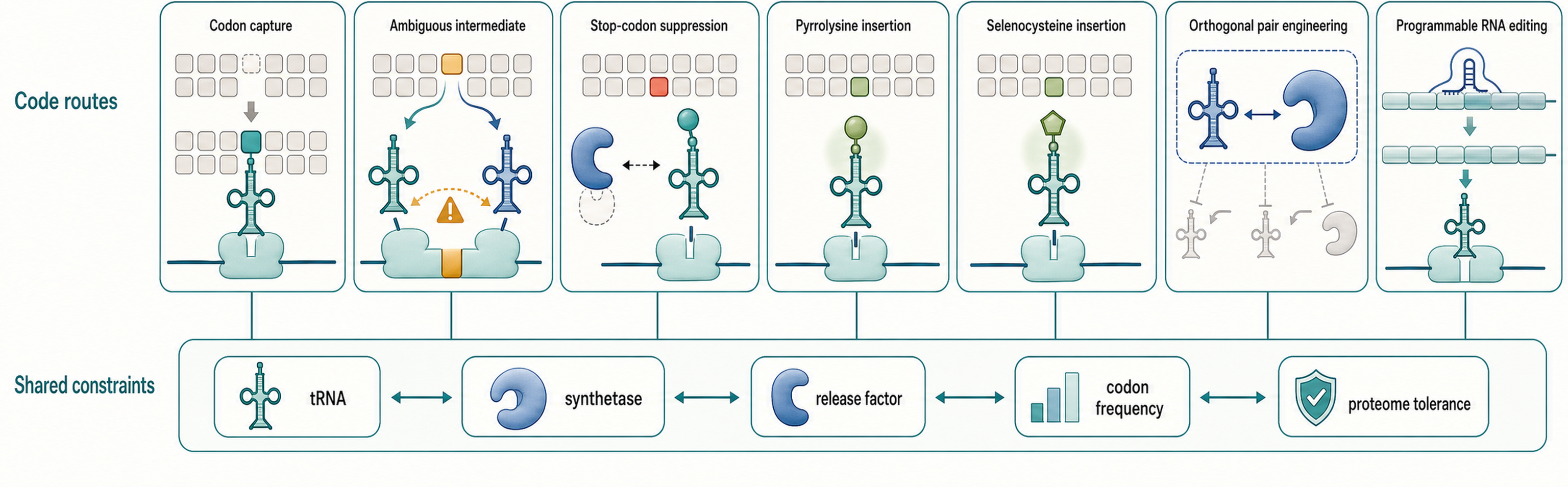 Figure 10.4. Code Reassignment and Expansion Routes