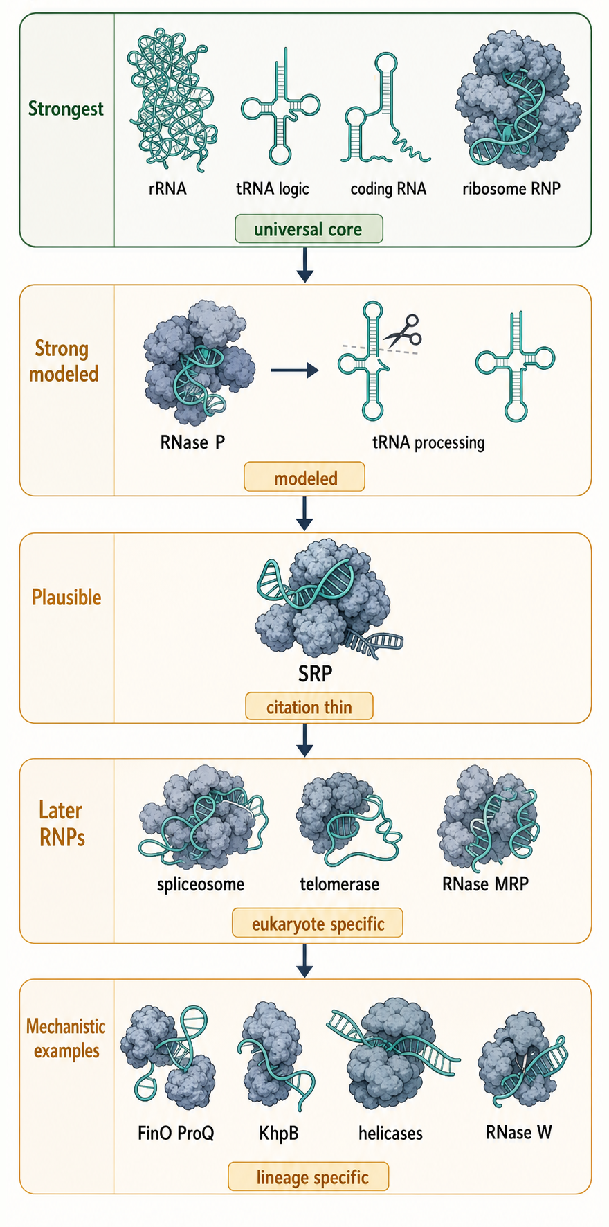 Figure 11.1. LUCA RNA and RNP Inference Ladder
