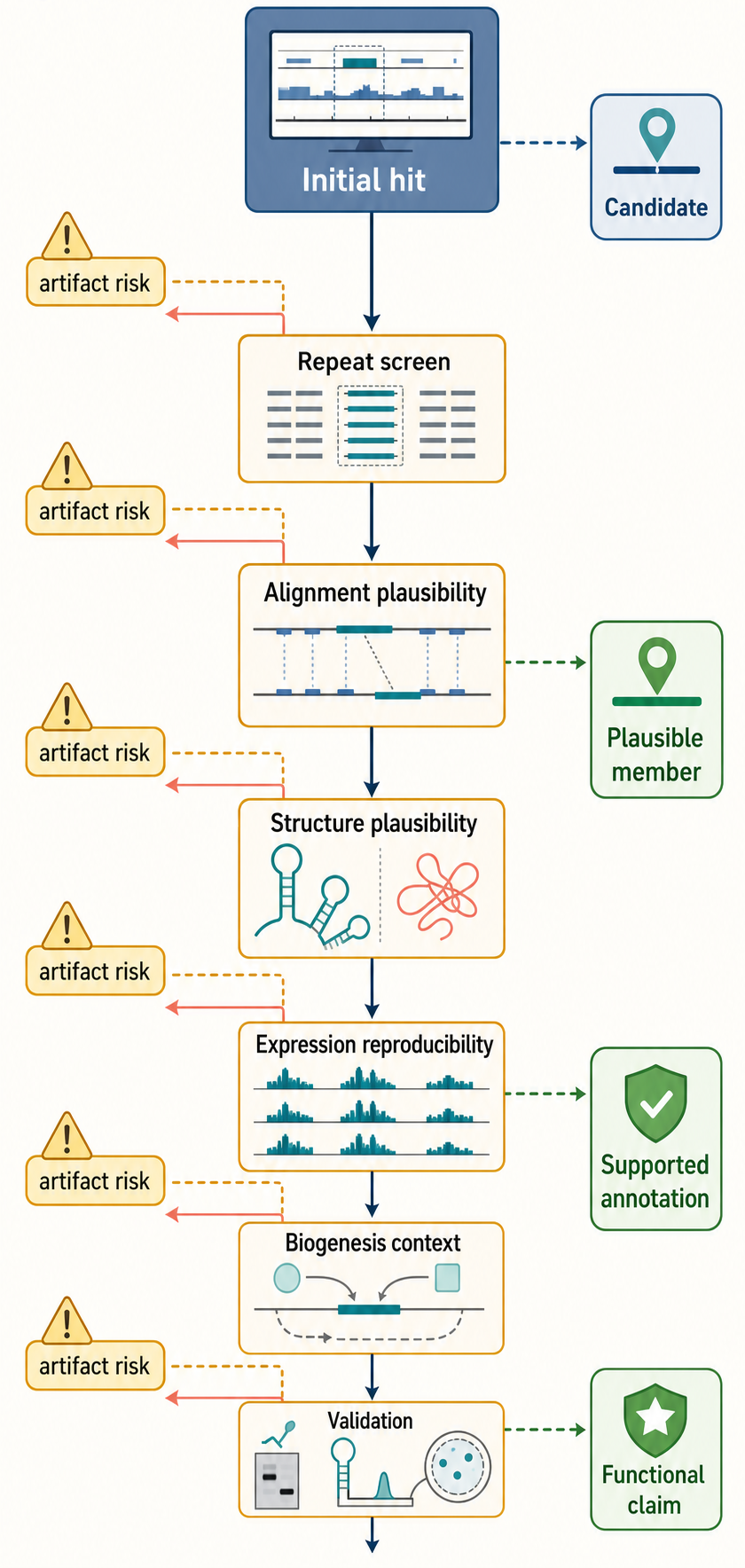 Figure 12.5. From Comparative Observation to Bounded Evolutionary Claim