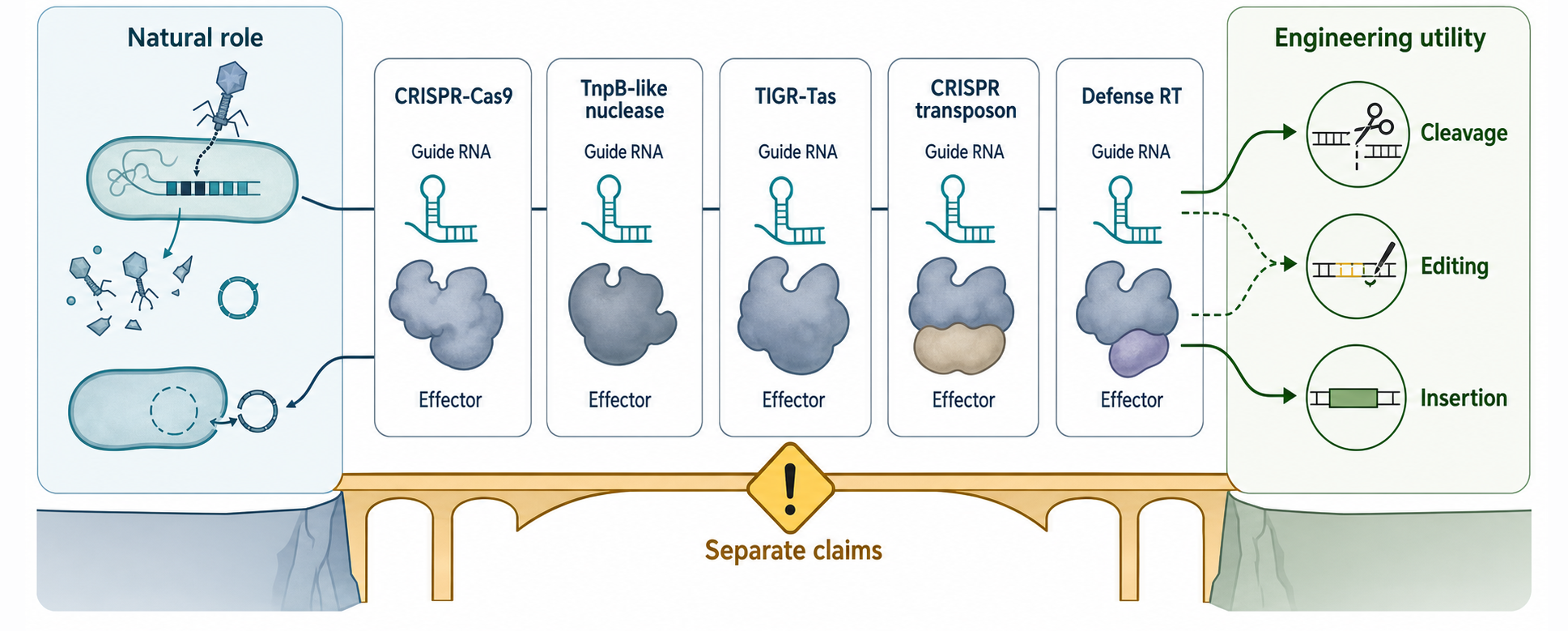 Figure 13.5. From Genome Defense to RNA-Guided Biotechnology