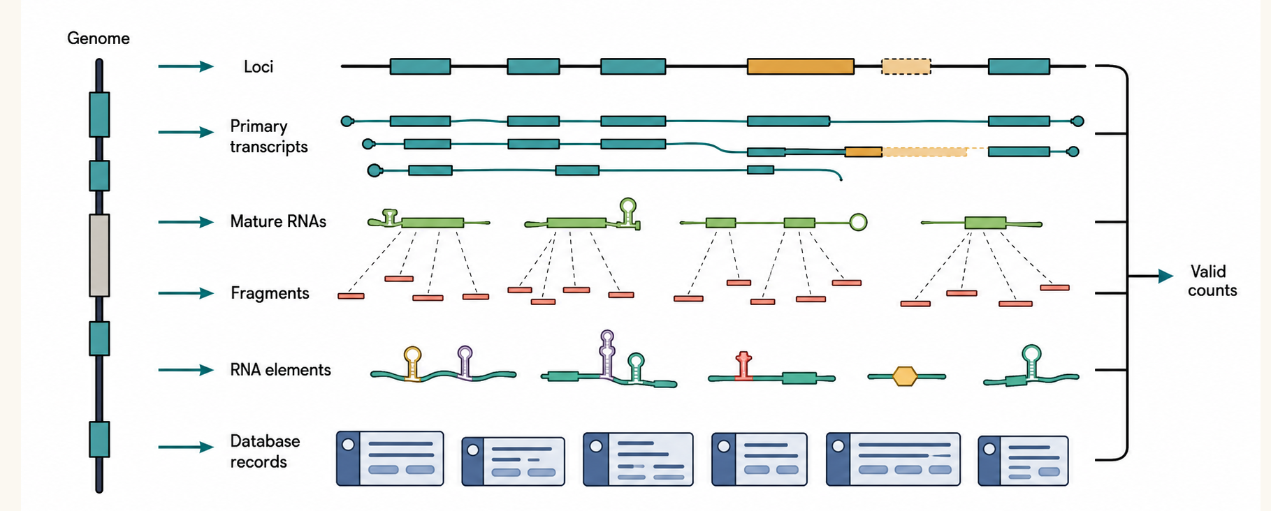 Figure 14.1. What Is an RNA Gene Repertoire?