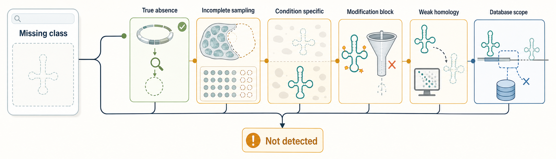 Figure 14.4. Why Some RNA Classes Are Missing