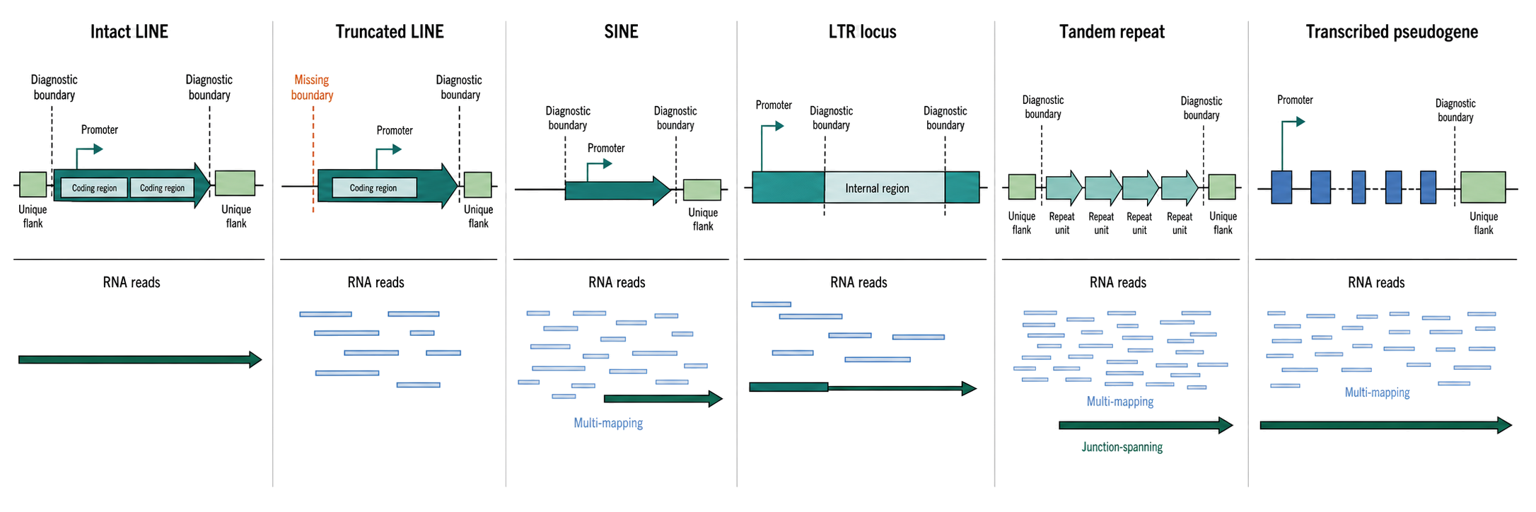 Figure 16.6. Repeat-Locus Anatomy and the RNA Evidence Visible from Each Locus State