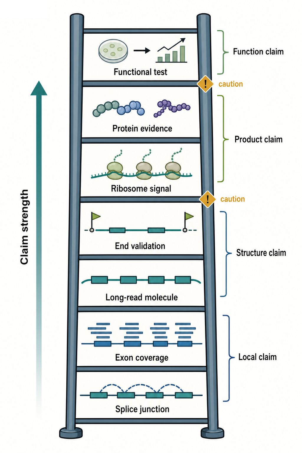Figure 18.2. Isoform Evidence Ladder