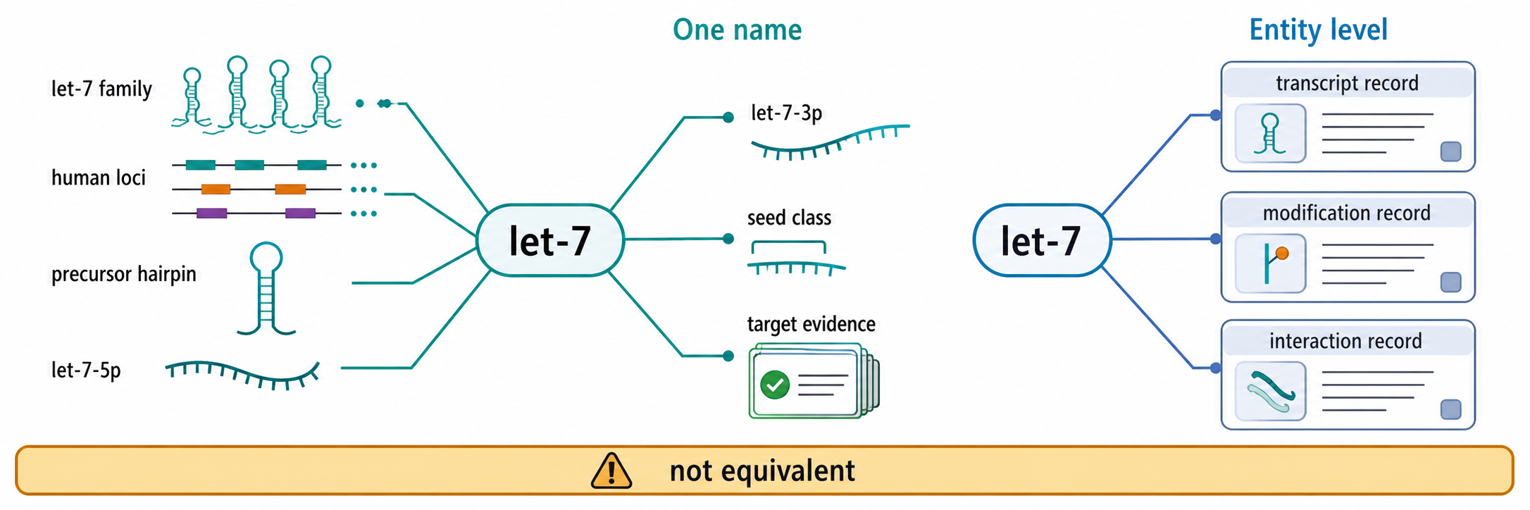 Figure 19.1. One RNA, Many Resource Record Types