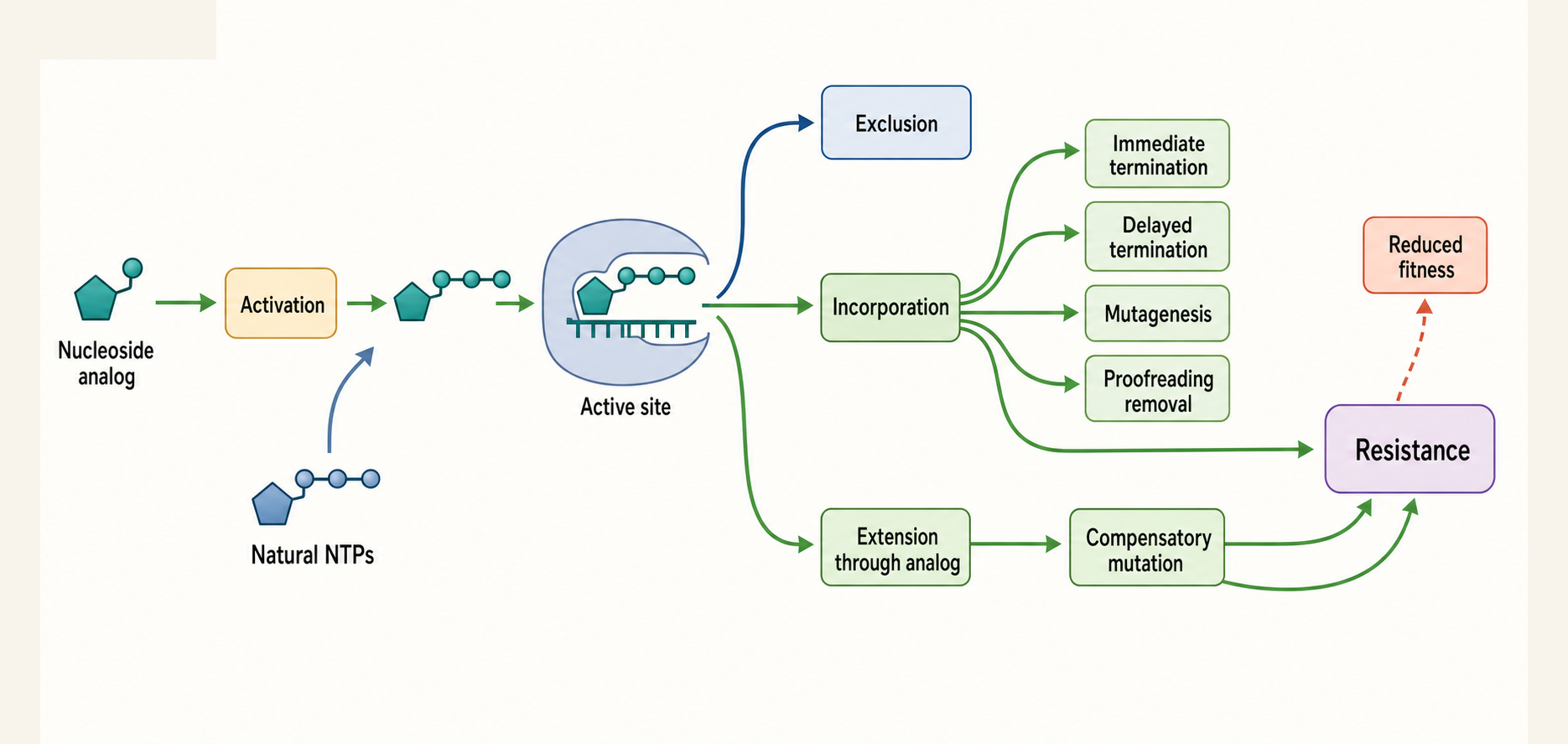 Figure 23.5. Inhibitor and Resistance Logic