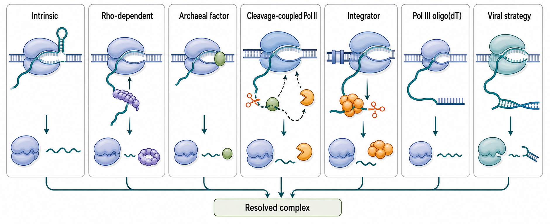 Figure 24.3. Cross-Domain Termination Mechanisms