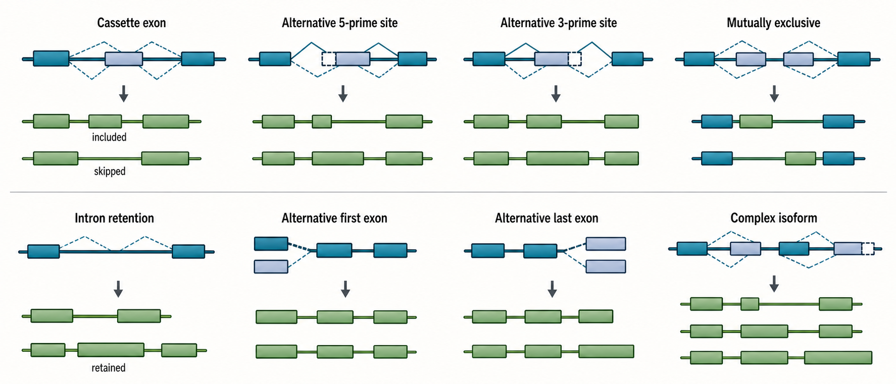 Figure 28.1. Alternative Splicing Event Modes