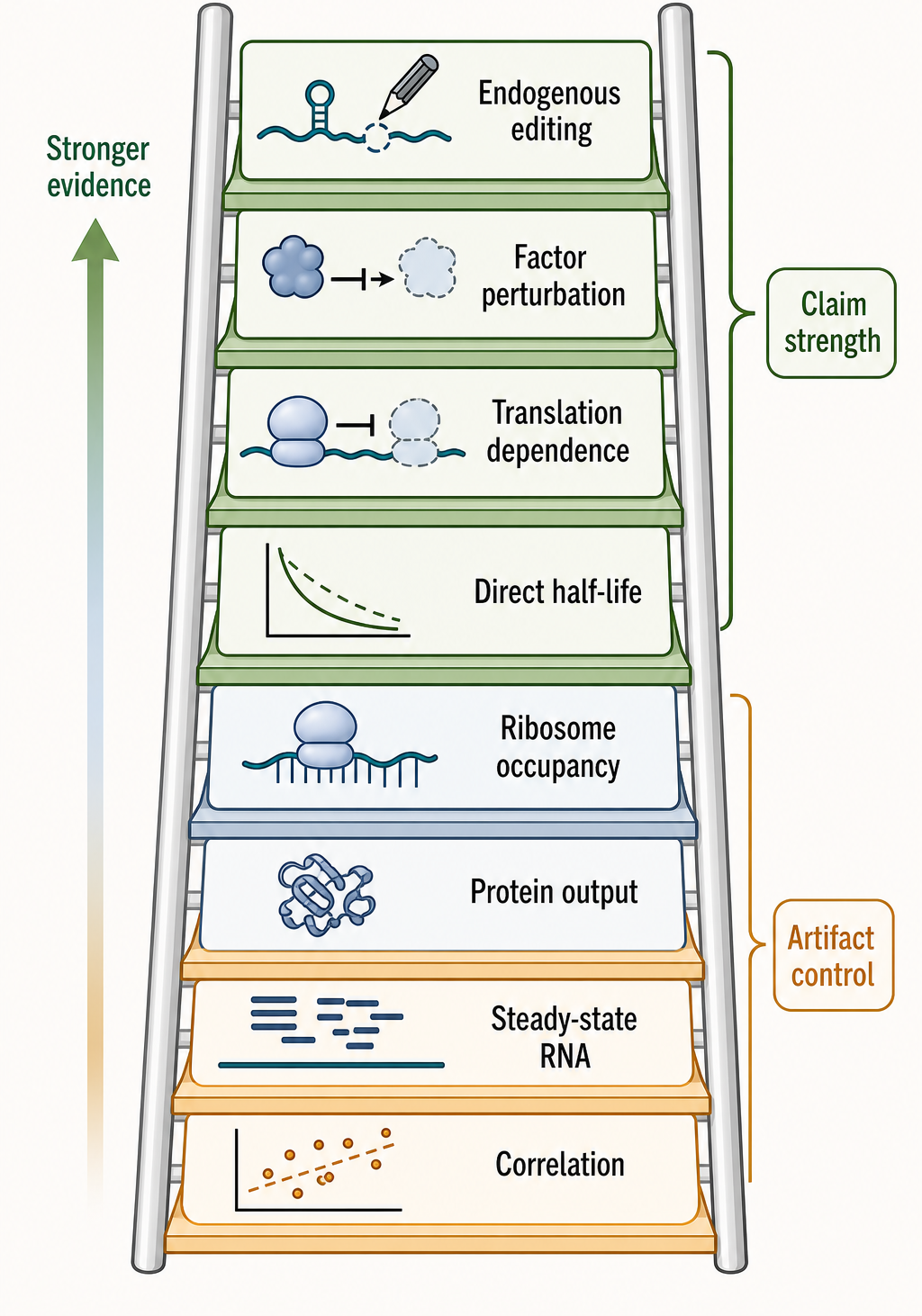 Figure 36.4. Evidence Ladder for Sequence-Stability Claims