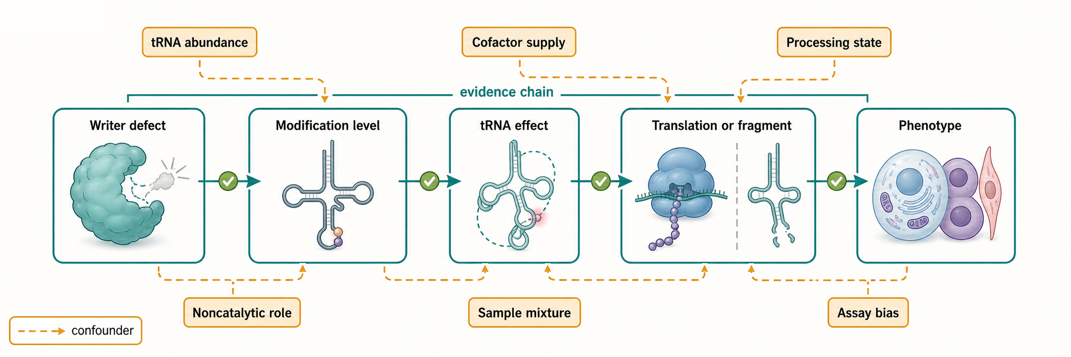 Figure 41.2. From Writer Defect to Phenotype: The Causal Chain