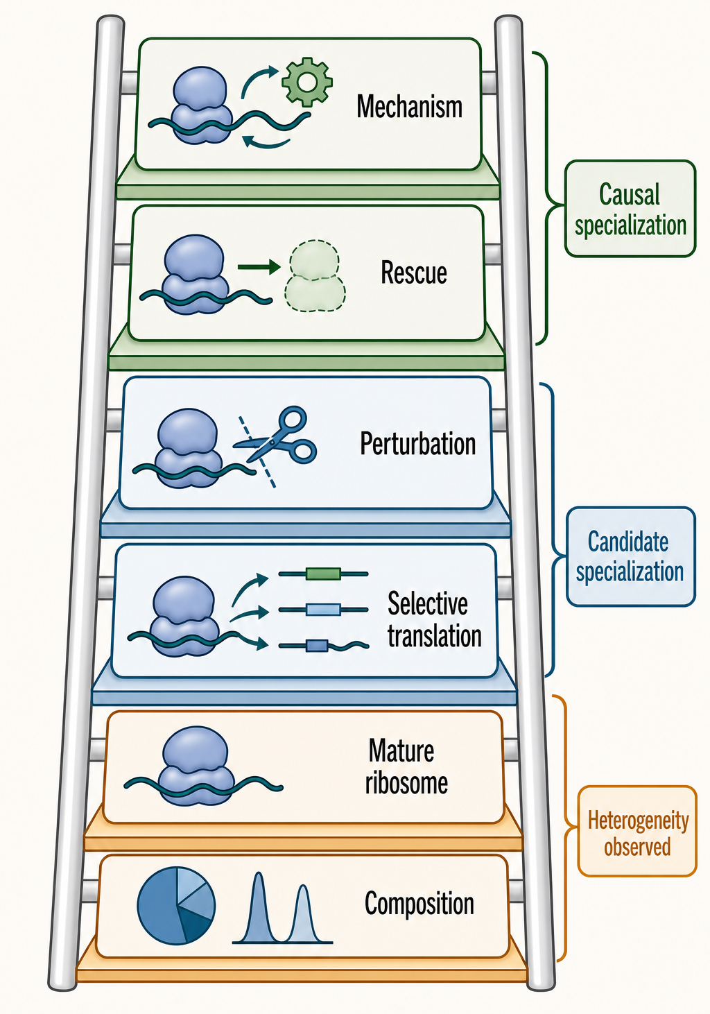 Figure 44.1. Evidence Ladder for Specialized Ribosomes