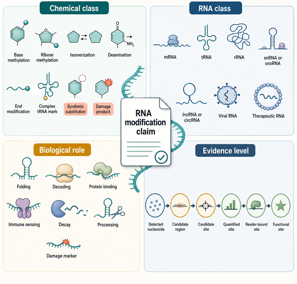 Figure 46.1. Classification Axes for RNA Modifications