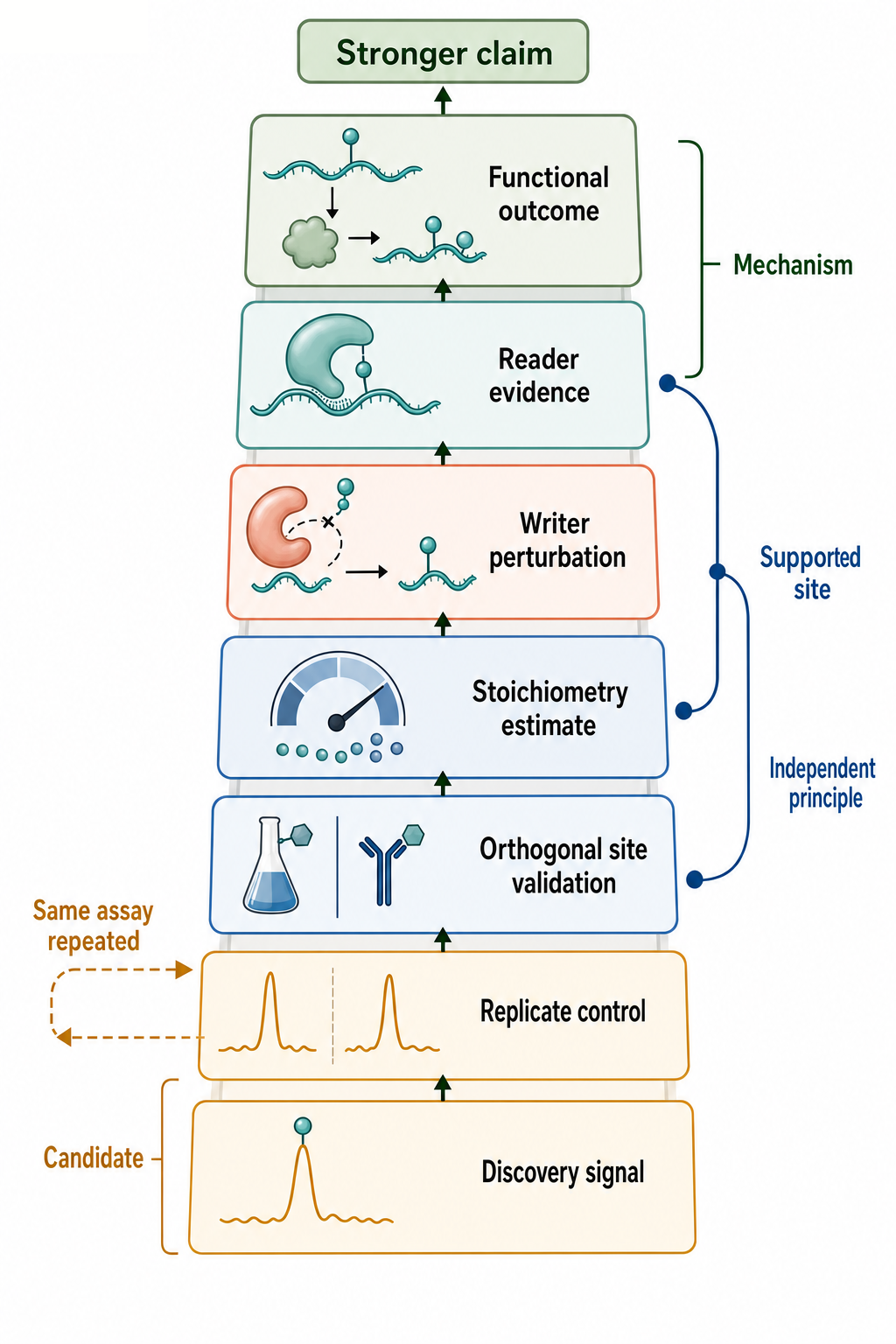 Figure 46.3. Evidence Tiers and Orthogonal Validation Matrix