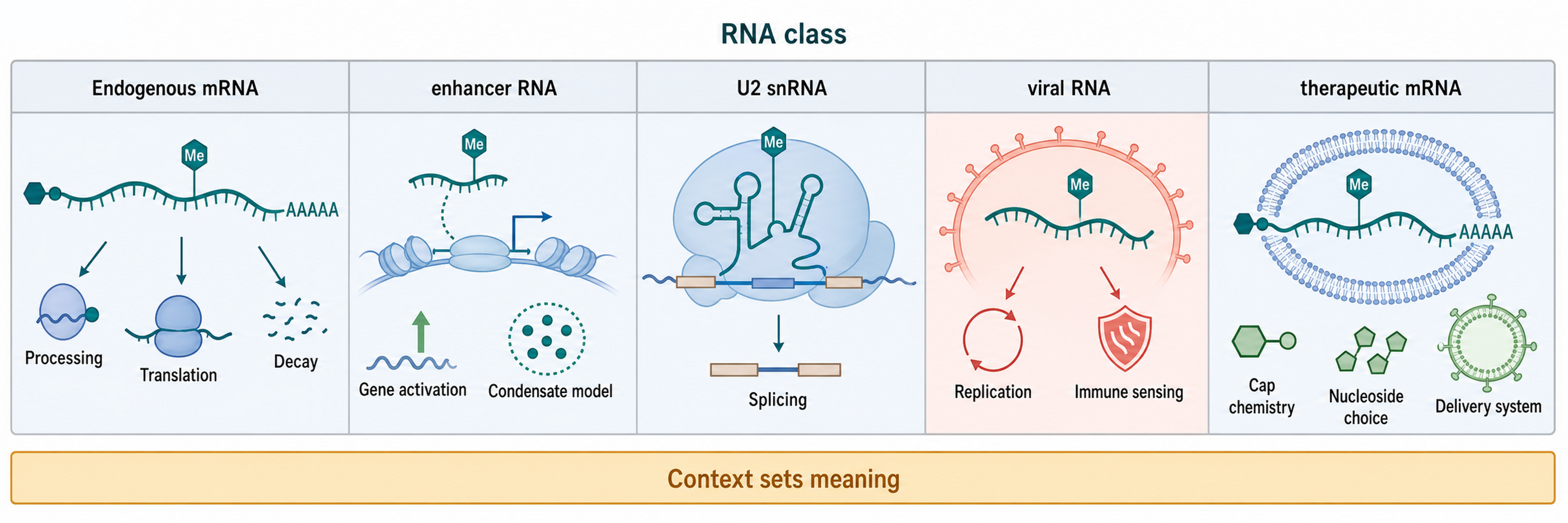 Figure 48.4. RNA-class context matrix