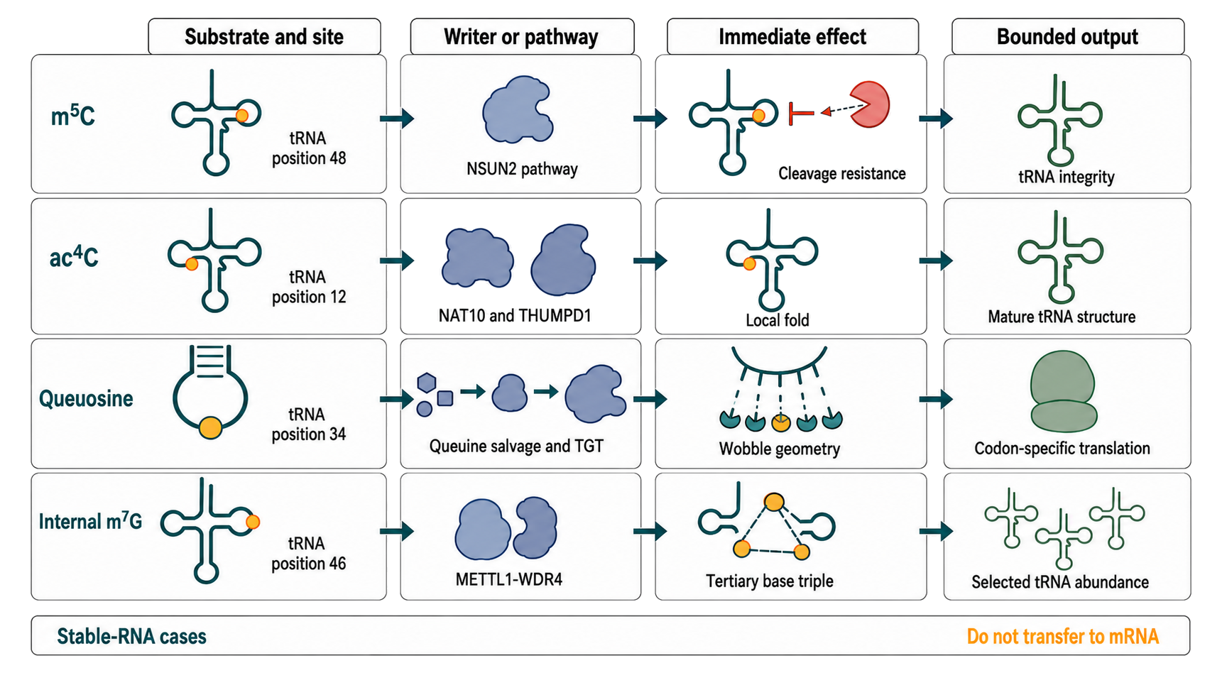 Figure 49.5. Matched Mechanism Cases for m5C, ac4C, Queuosine, and Internal m7G