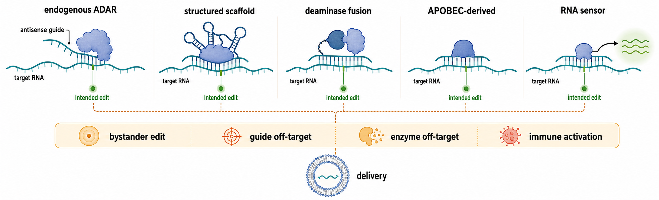 Figure 50.3. Programmable RNA Editing Architectures