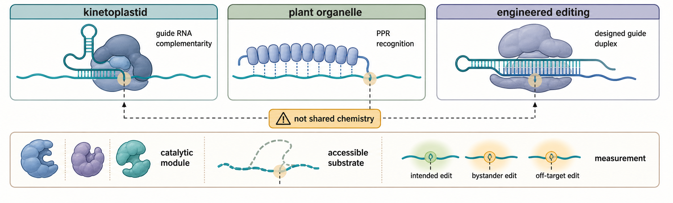 Figure 51.4. Specificity Strategies Across Editing Systems