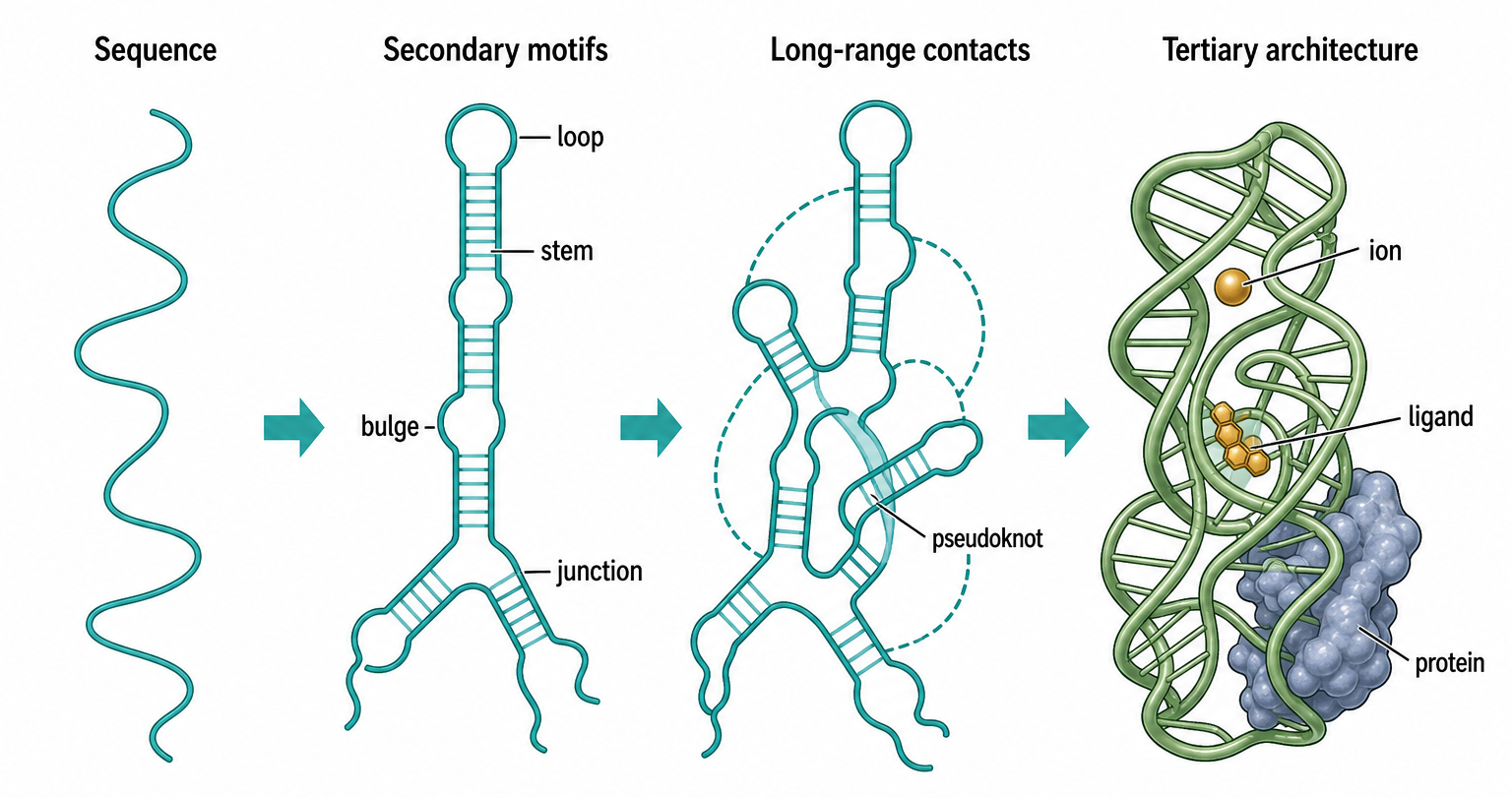 Figure 53.1. From Secondary Motifs to Tertiary Architecture