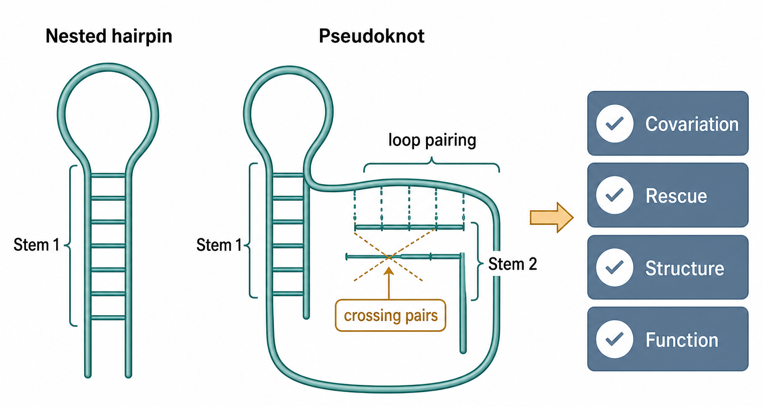 Figure 53.2. Why a Pseudoknot Is Not a Nested Hairpin