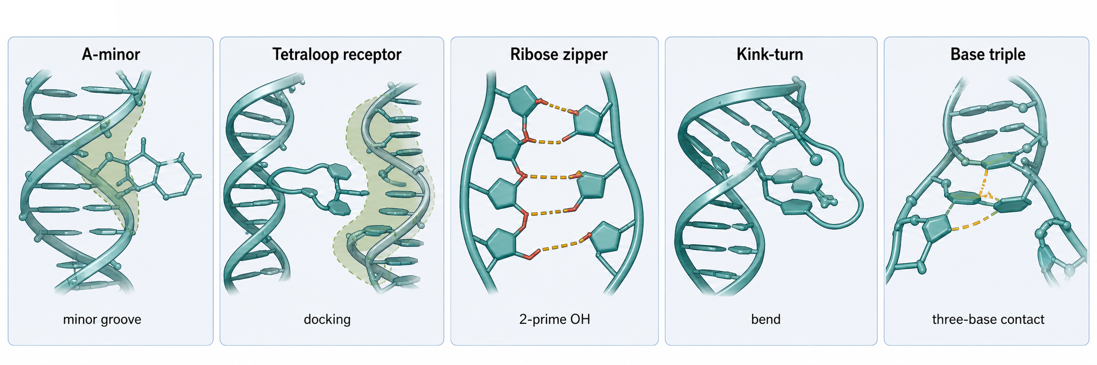 Figure 53.3. Gallery of Recurrent Tertiary Motifs