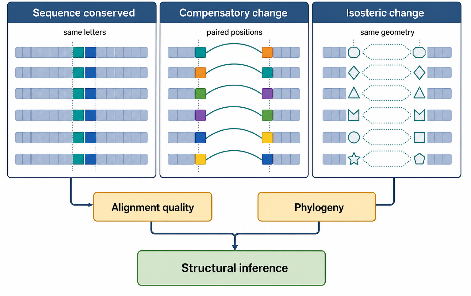 Figure 53.4. Comparative Evidence for Structural Conservation