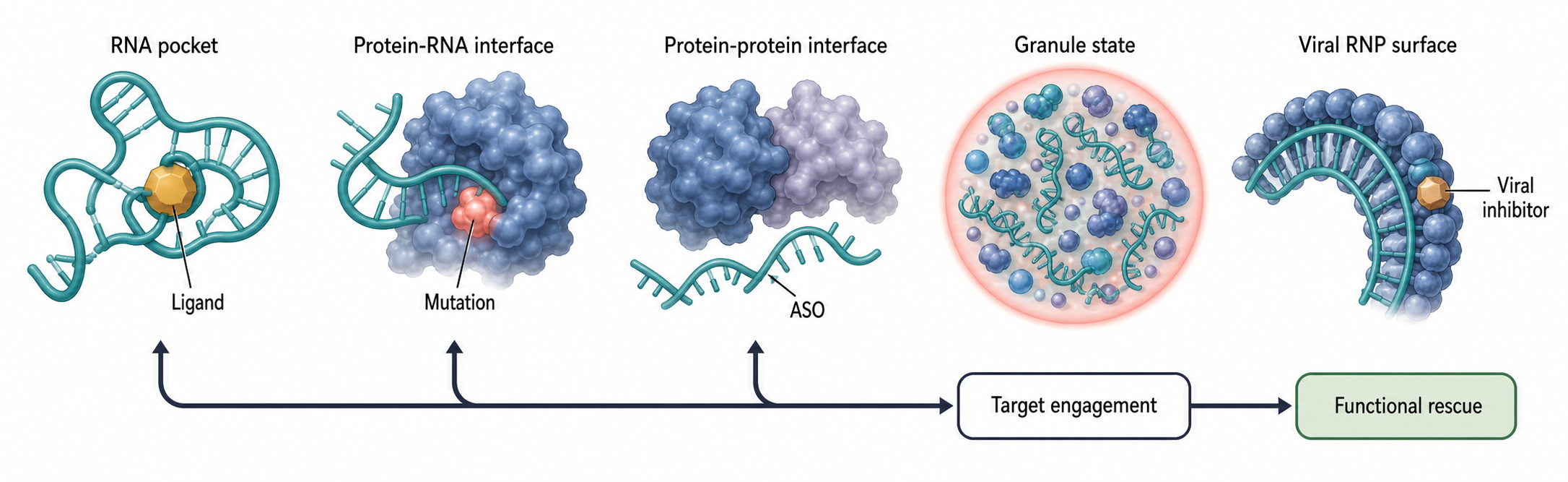 Figure 57.4. Disease and Drug Interfaces in RNP Machines