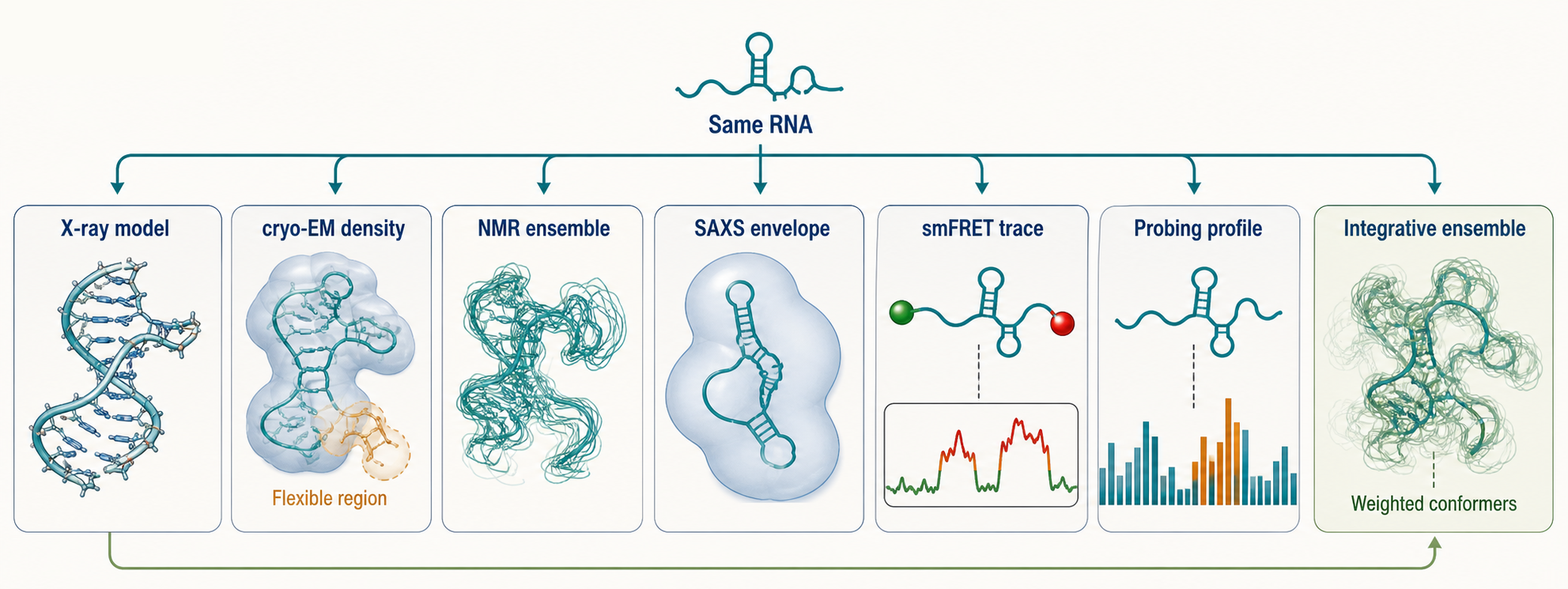 Figure 59.2. One RNA Viewed Through Multiple Measurement Proxies