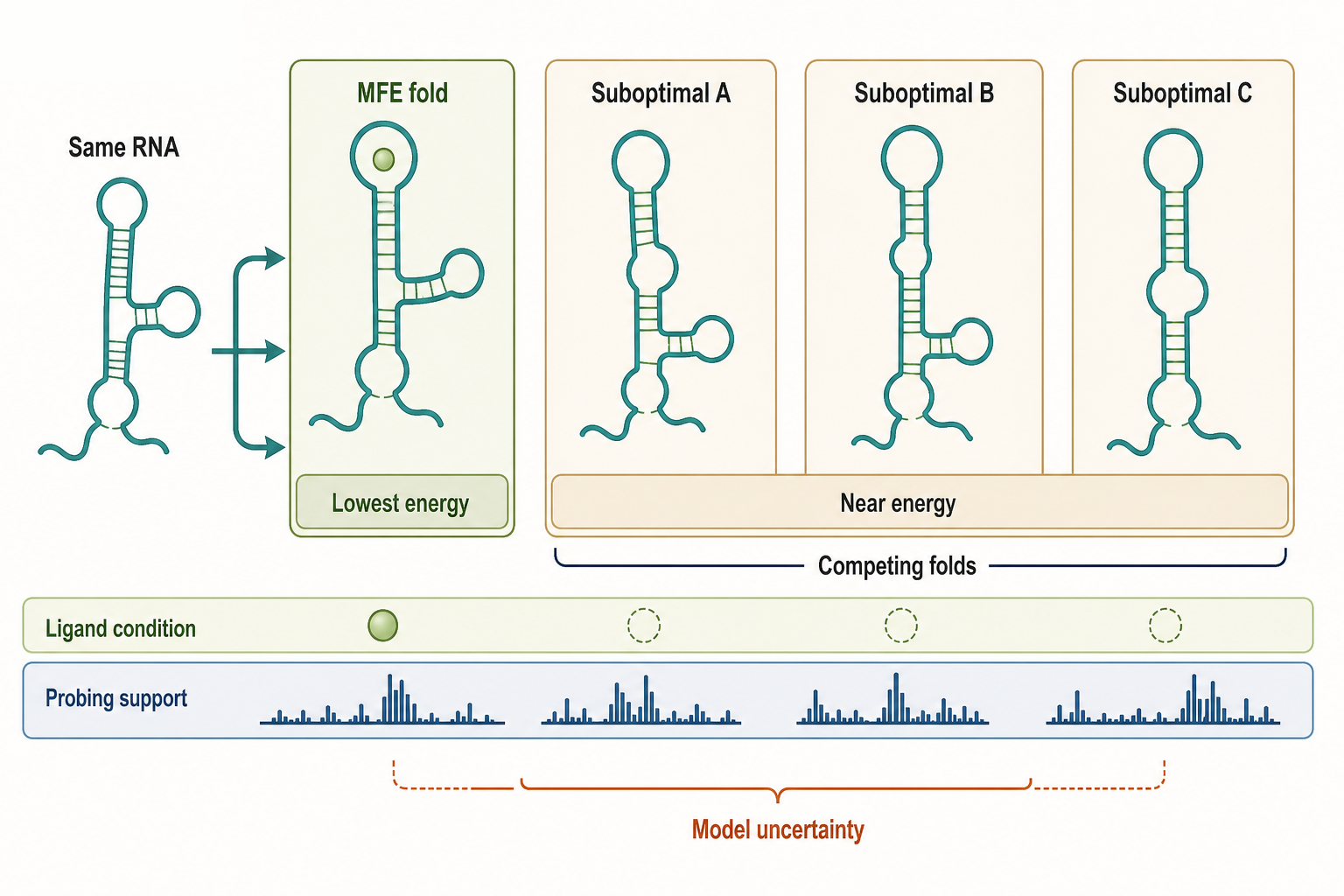 Figure 60.2. MFE and Suboptimal Structures for a Riboswitch-Like RNA