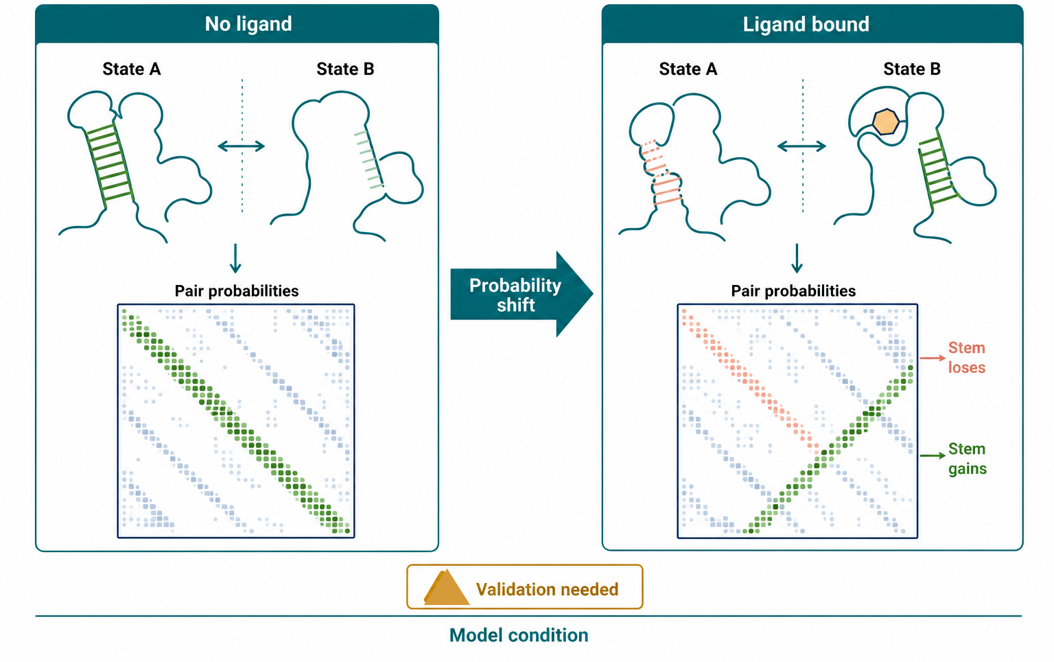 Figure 61.3. Ensemble Shift in a Ligand-Responsive RNA