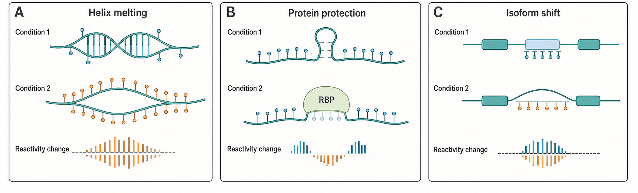 Figure 63.3. Three Explanations for Differential Reactivity